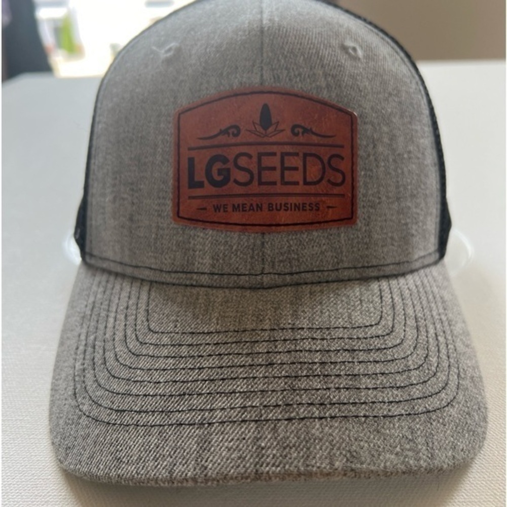 NWOT LG SEEDS Hat Cap Snap Back Adjustable Gray‎ Brown Pre Owned HT 78+116 (A1)